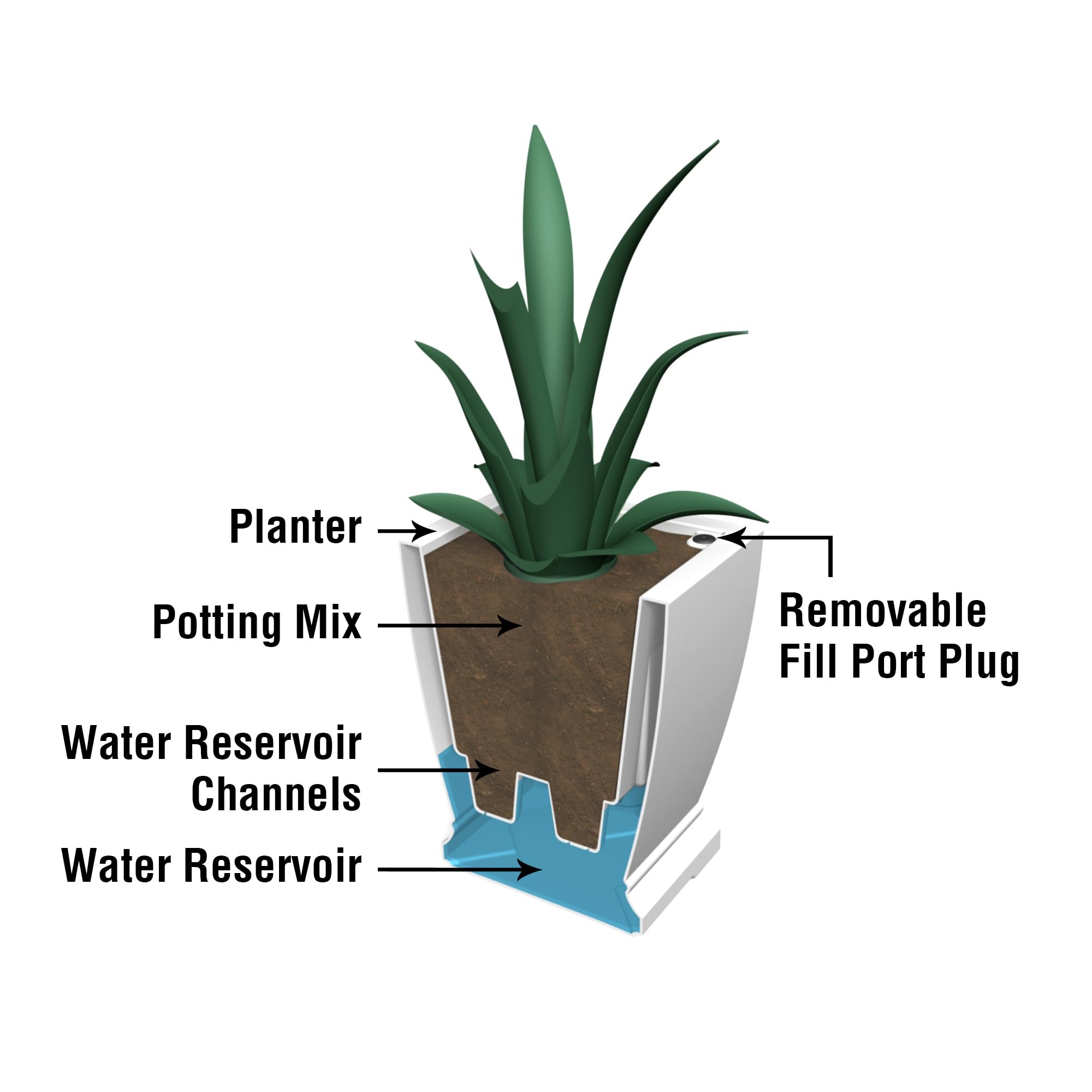 Mayne Acadia 18-Inch Self Watering Tall Planter, Weather-Resistant and Durable, Ideal for Indoor and Outdoor Use, Perfect for Patio, Porch, or Entryway - Image 5