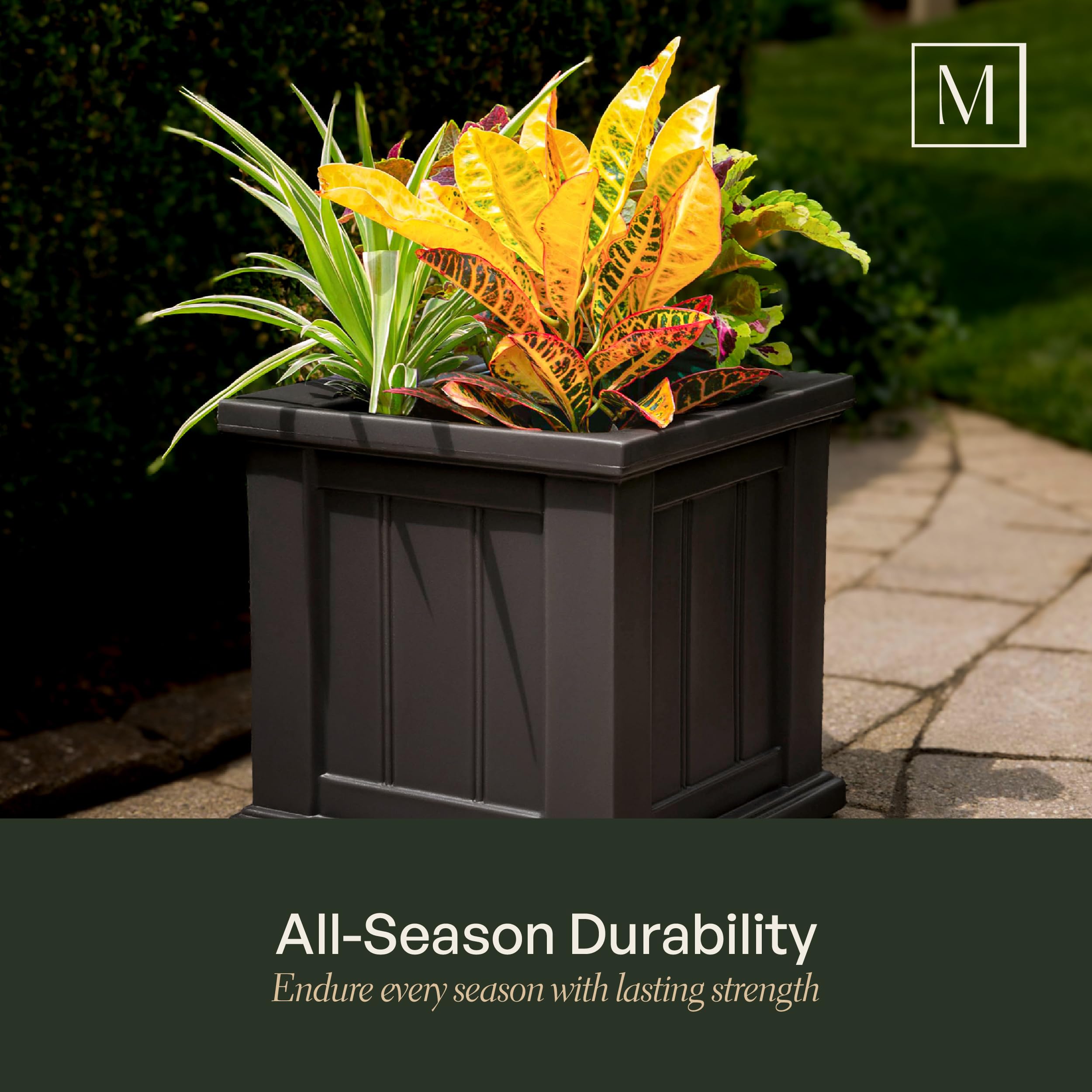 Mayne Cape Cod 14-Inch Square Planter – Self-Watering, Weather-Resistant Planter for Flowers – Durable Outdoor Design for Patio, Porch, or Entryway - Image 4